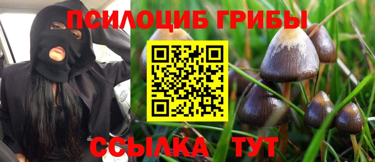 Холмск  Псилоцибиновые грибы Psilocybine cubensis  Вход с VPN 