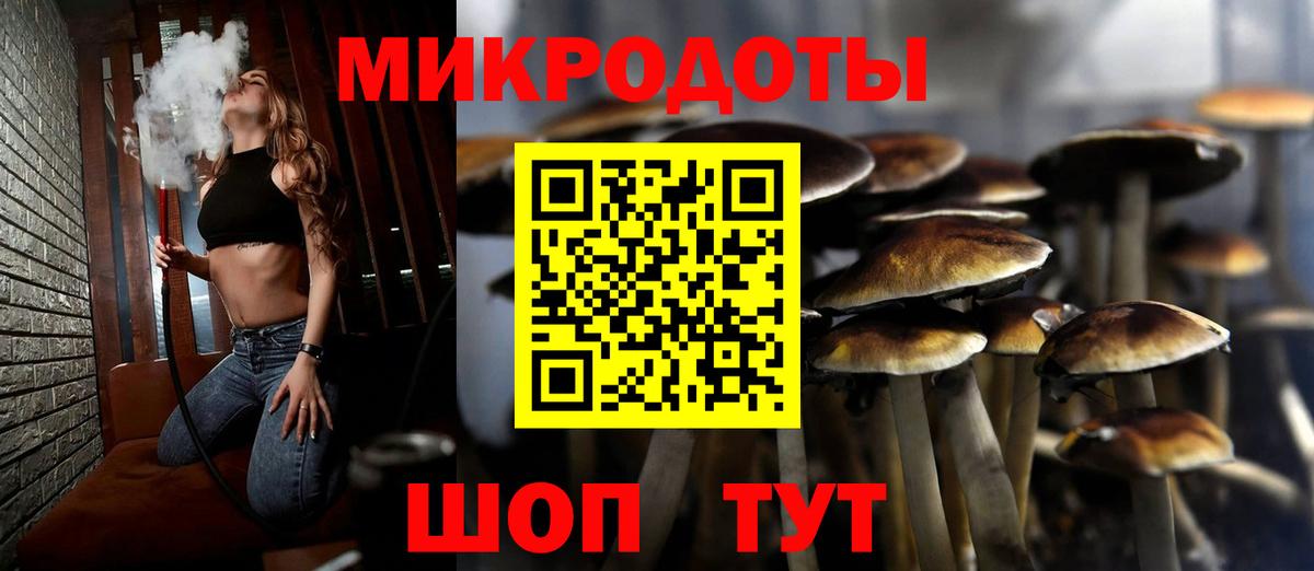 Псилоцибиновые грибы Psilocybine cubensis Холмск